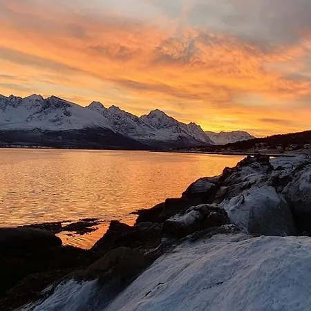 6 Person In Svensby-by Traum *