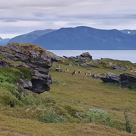 בית נופש 6 Person In Svensby-by Traum *