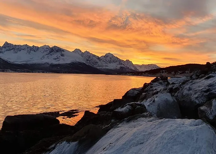 6 Person In Svensby-by Traum *