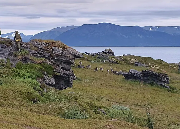 Ferienhaus 6 Person In Svensby-by Traum *